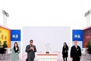 合作方声明对照封面：并排盖章的两份公函